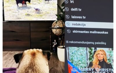 5 išties įsimintinos tinklalaidės