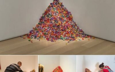 ŠMC arba meno pauzė